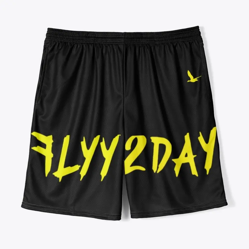 Flyy 2Day-Logo Shorts