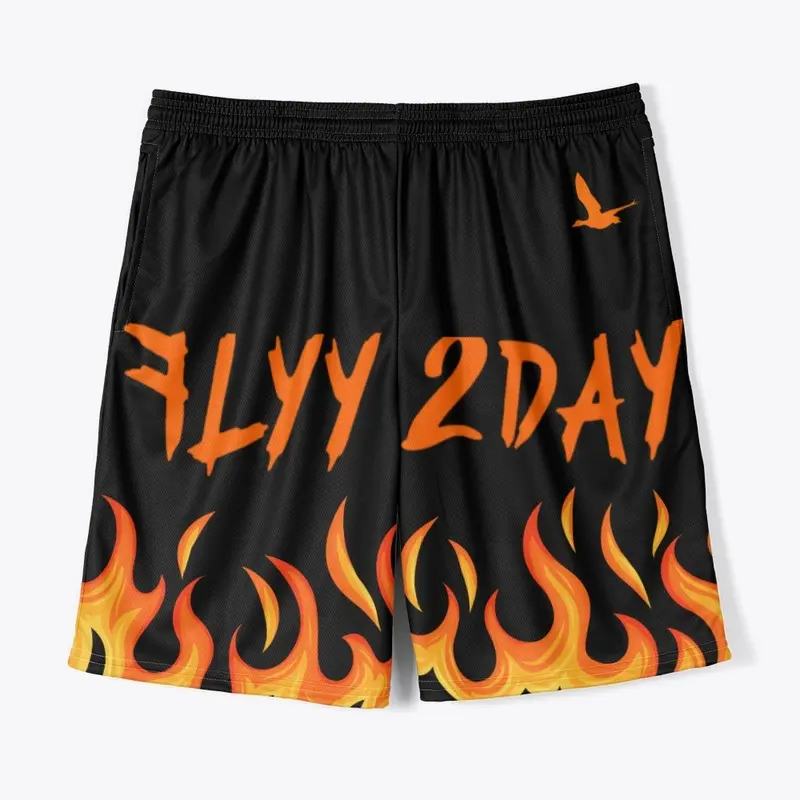 Flyy 2Day-Fire Shorts