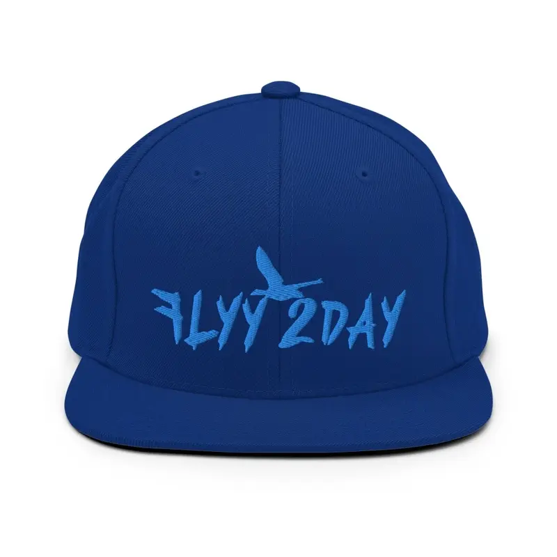 Flyy 2Day-Blue Letter SnapBack