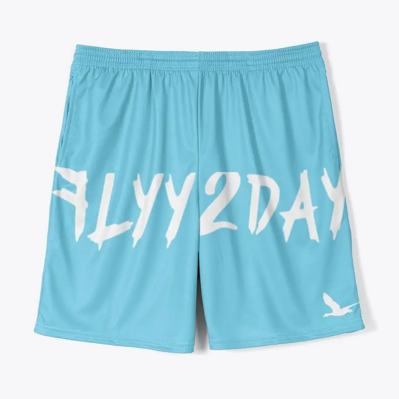 Flyy 2Day-Logo Shorts