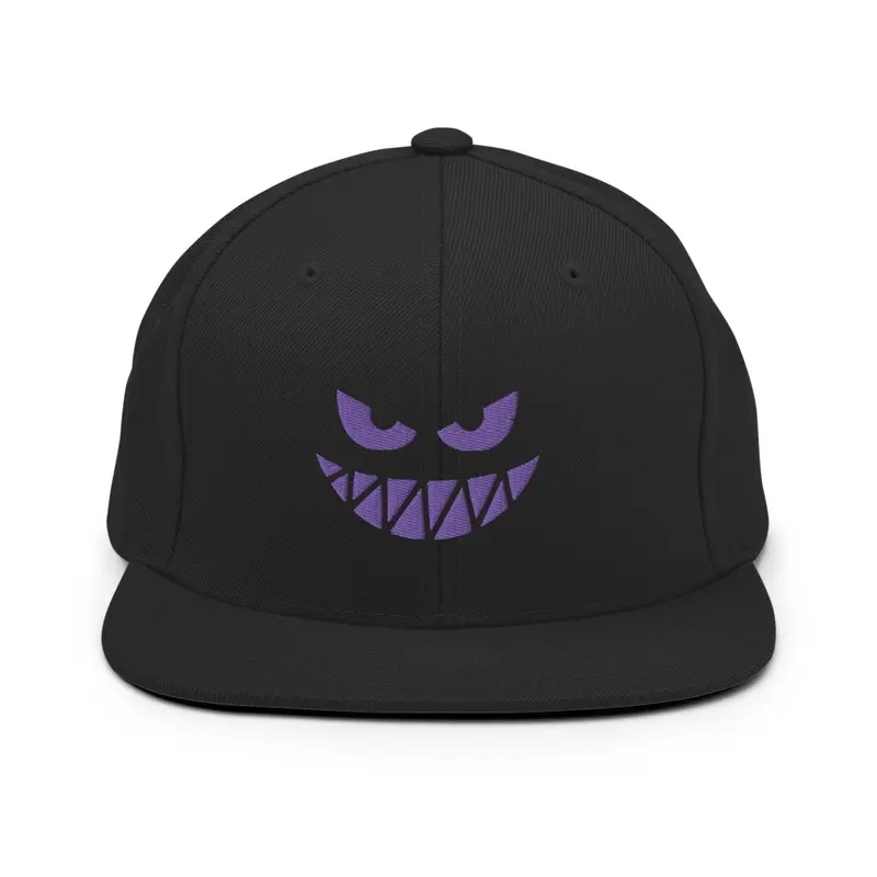 Flyy 2Day-Sneaky Look SnapBack 