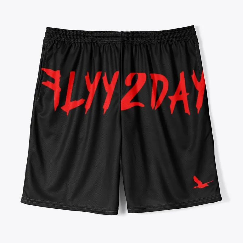 Flyy 2Day-Logo Shorts